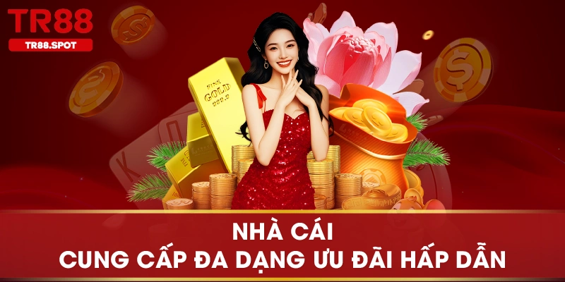 Nhà cái cung cấp đa dạng ưu đãi hấp dẫn